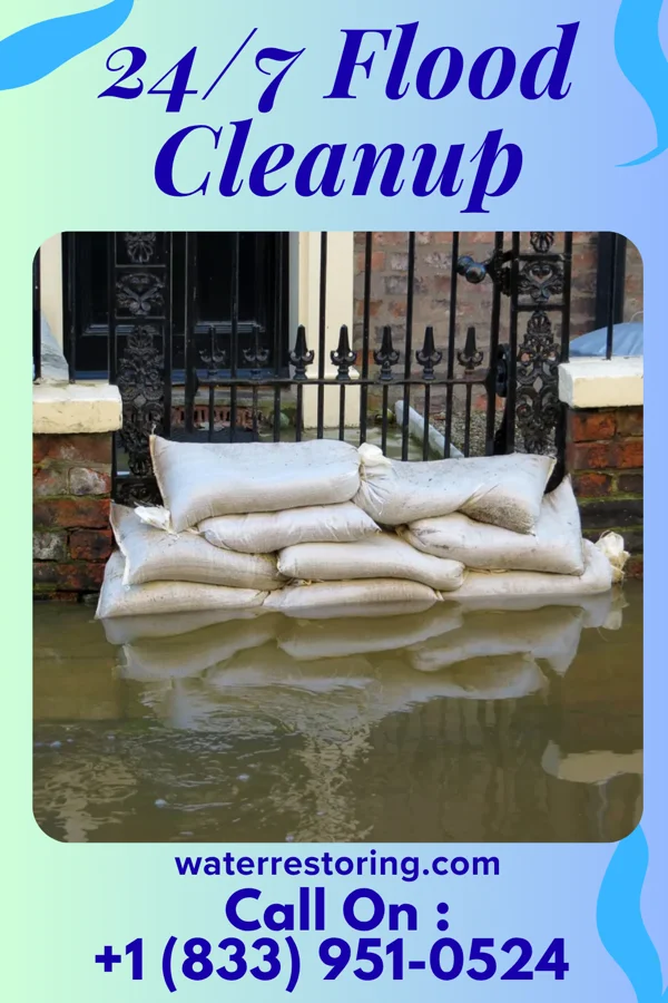 24/7 Flood Cleanup in Leasburg, MO