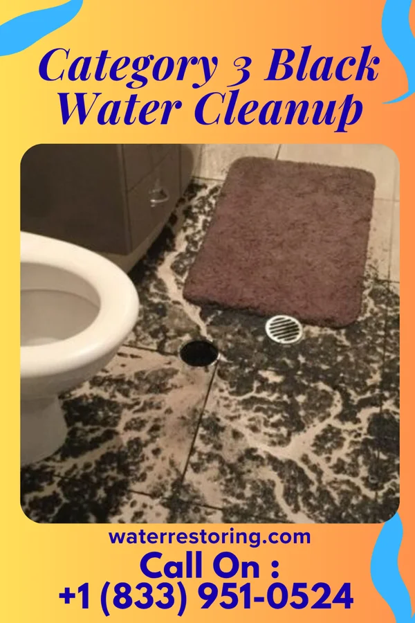 Category 3 Black Water Cleanup in Leasburg, MO