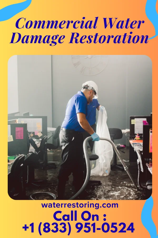 Commercial Water Damage Restoration in Leasburg, MO