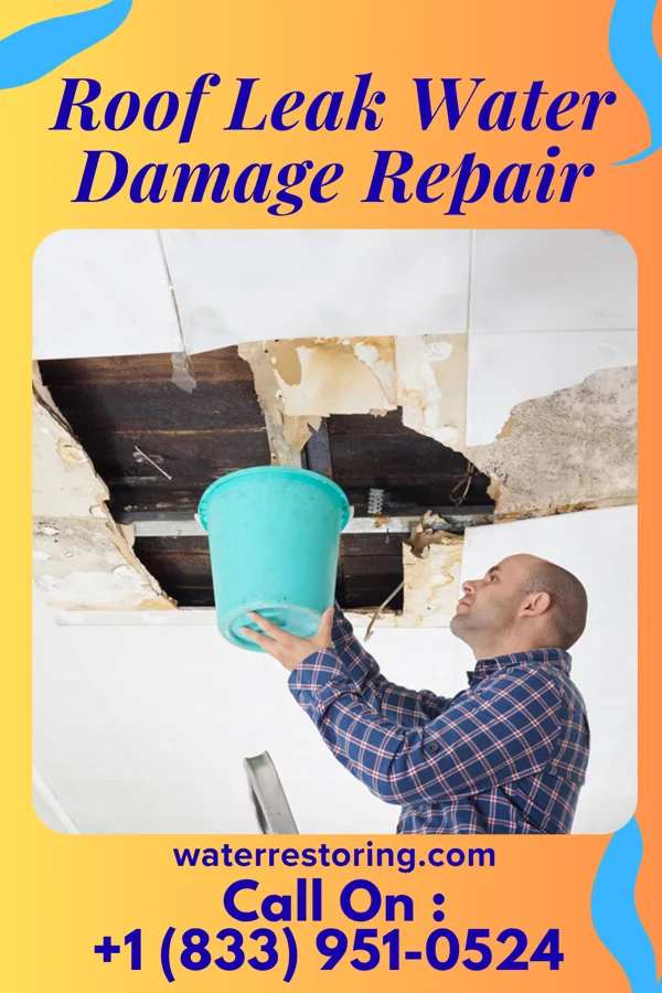 Roof Leak Water Damage Repair in Leasburg, MO