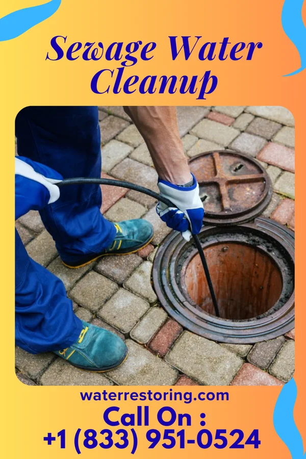 Sewage Water Cleanup in Leasburg, MO
