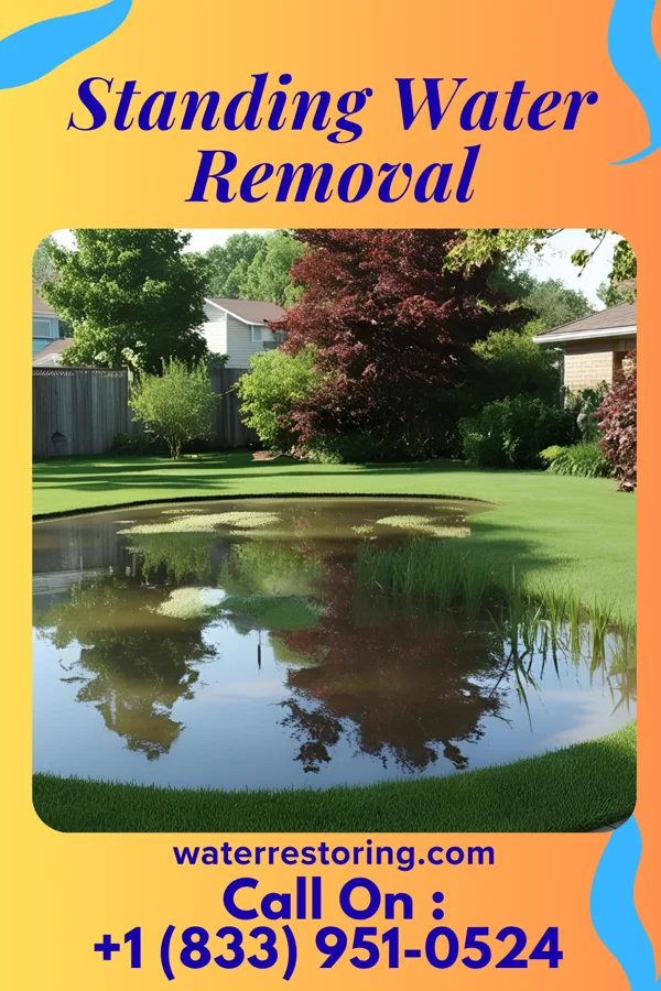 Standing Water Removal in Leasburg, MO